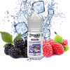 mam-xoi-mix-lanh-wild-raspberry-sweet-21-vape-fruit-ice-salt-30ml - ảnh nhỏ  1